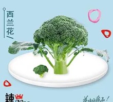 Bright Green Broccoli