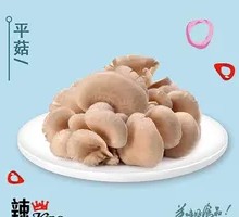 Fresh Pleurotus ostreatus