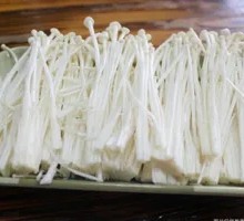 Enoki Mushroom