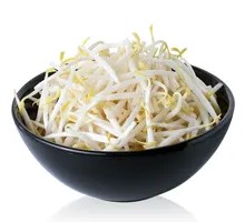 Bean sprout and egg stir-fried flatbread