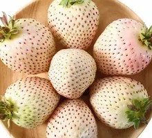 White Strawberry