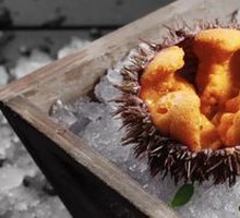 Sea Urchin Sashimi