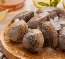 Fresh Large Clam