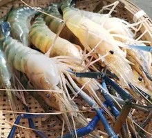 Luo's Shrimp