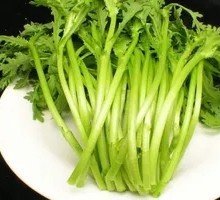 Gaozi Gan