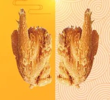 Two Ways with Chicken