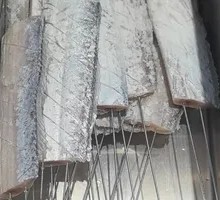 Grilled Hairtail