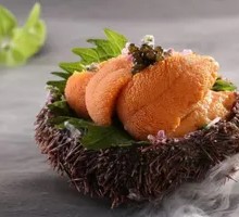 Sea Urchin