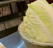 Napa cabbage