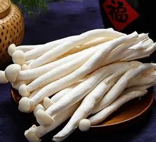 Yunnan Deer Antler Mushroom