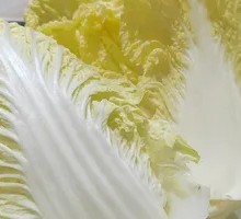 Baby bok choy