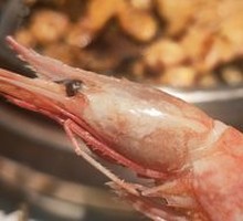 Large Shrimp