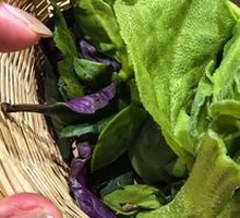Self-Service Wild Greens