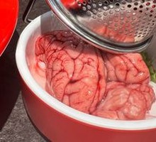 Fresh Pig Brain