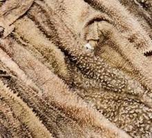 Fresh Beef Tripe