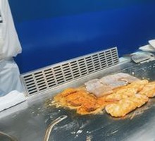 Whiting Fish