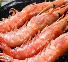 Argentine Red Shrimp