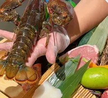 Boston Lobster