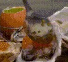 Sizzling Garlic Oyster