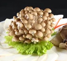 Mushroom Platter