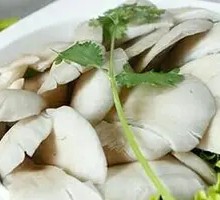 Mushroom