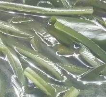 Kelp Slices