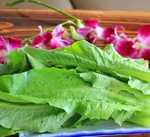 Oilseed lettuce