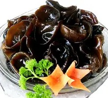 Wood Ear Mushroom