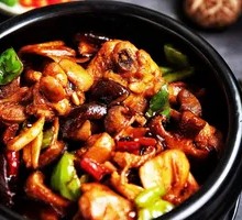 Stewed Chicken with Brown Sauce