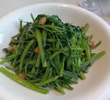 Water spinach