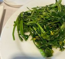 Organic Red-stem Chinese Broccoli