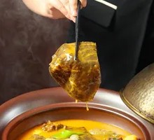 Golden Soup Softshell Turtle