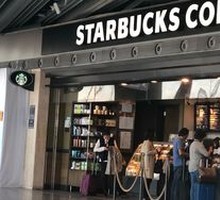 Classic Coffee Tiramisu