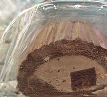 Milk Chocolate Swiss Roll