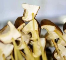 Nutritious Small Shiitake