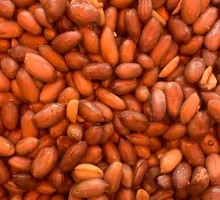 Braised Peanut Seeds