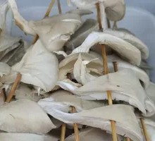 Fried Mushroom Skewers