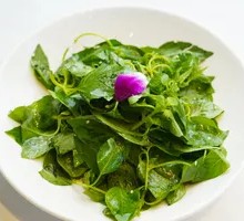 Cold-mixed Houttuynia cordata