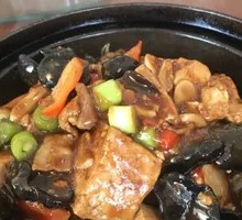 Braised Tofu in Clay Pot