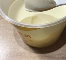 Creamy Milk Yogurt