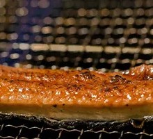 Grilled Eel