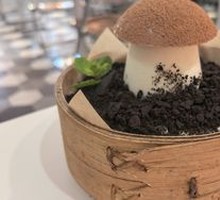 Delicious Mushroom Coconut Jelly