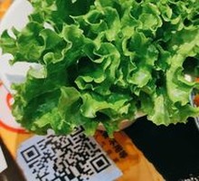 Northeast Sour Cabbage