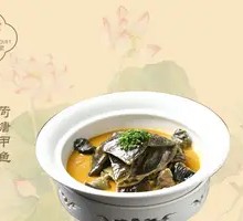 Lotus Pond Softshell Turtle