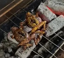 Roasted Bullfrog