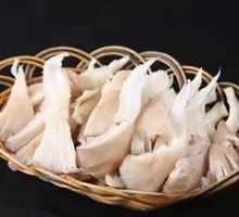 Mushroom Dish