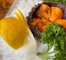 Sea Urchin