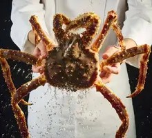 Alaska King Crab
