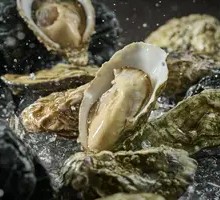 French Girardot Oysters
