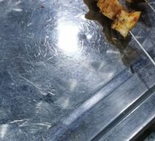 Beef Intestine